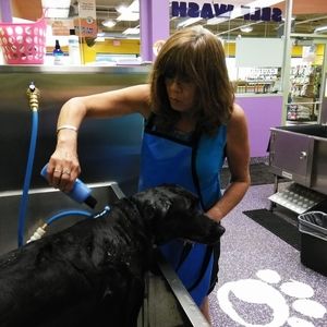 Meet your Posher, Janet